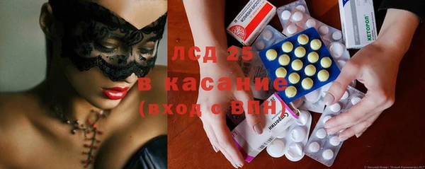индика Алзамай
