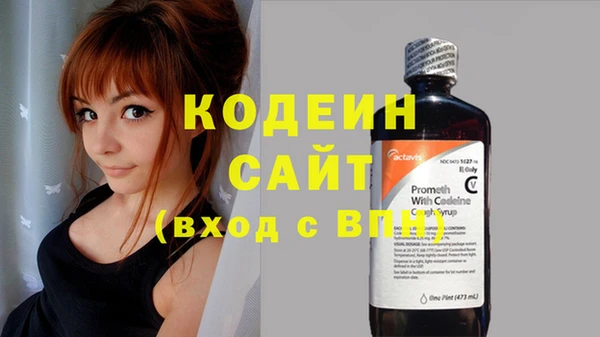 индика Алзамай