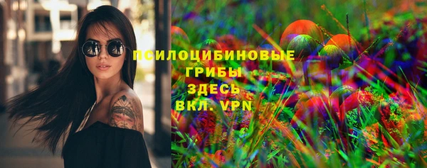 стафф Абинск