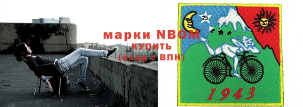 индика Алзамай
